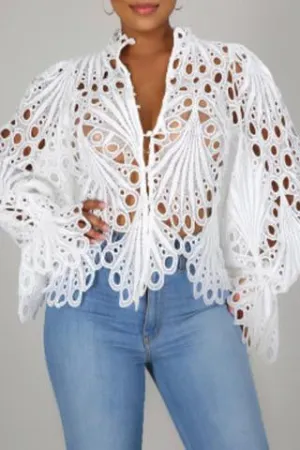 Lace Long Sleeve Top