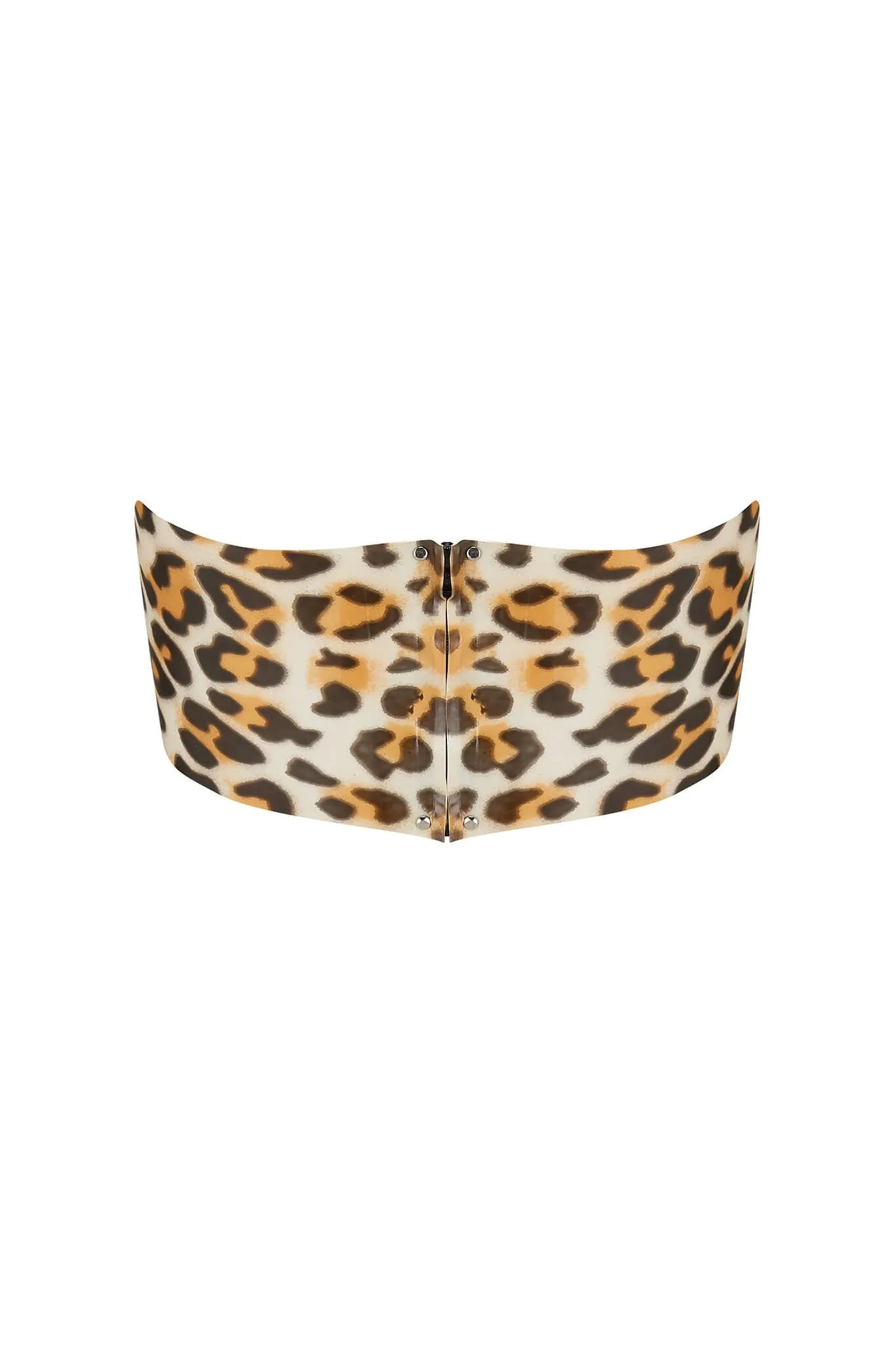 Leopard Latex Bandeau Crop Top
