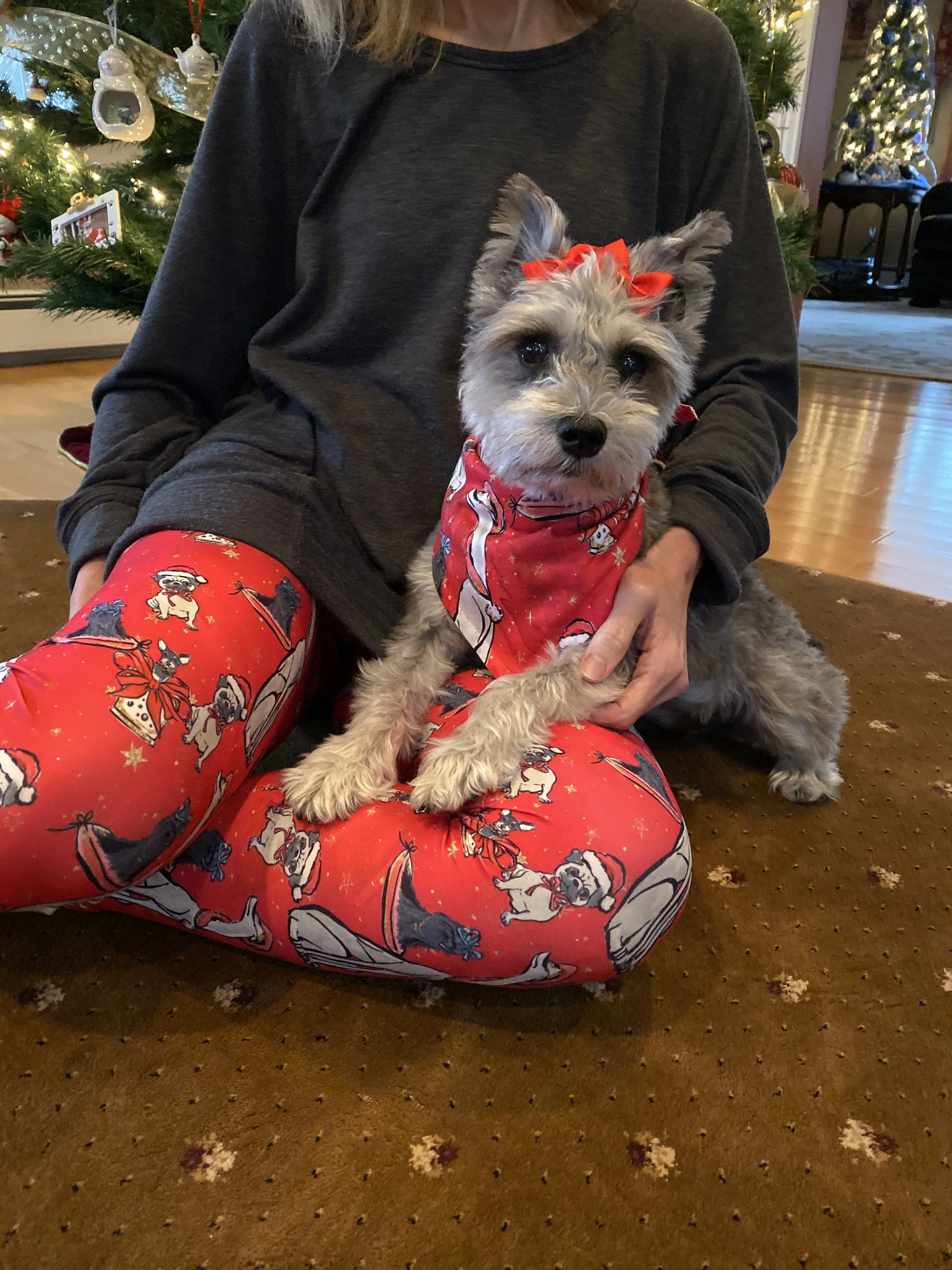 Red Christmas Doggies All-Over-Print - High-quality Handcrafted Vibrant Leggings