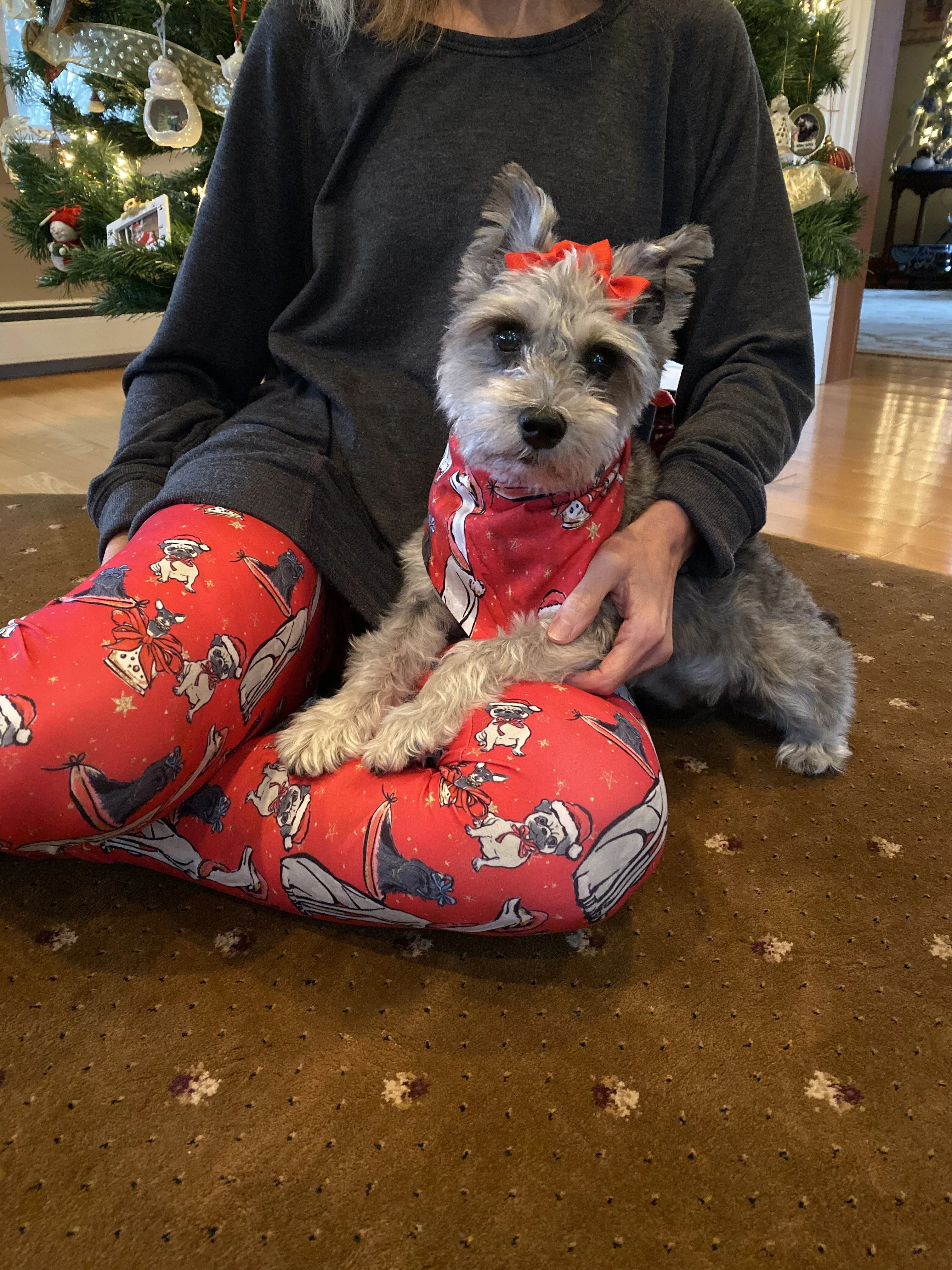 Red Christmas Doggies All-Over-Print - High-quality Handcrafted Vibrant Leggings